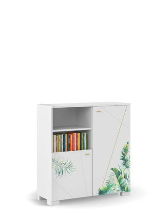 Bookcase 100 low Nature